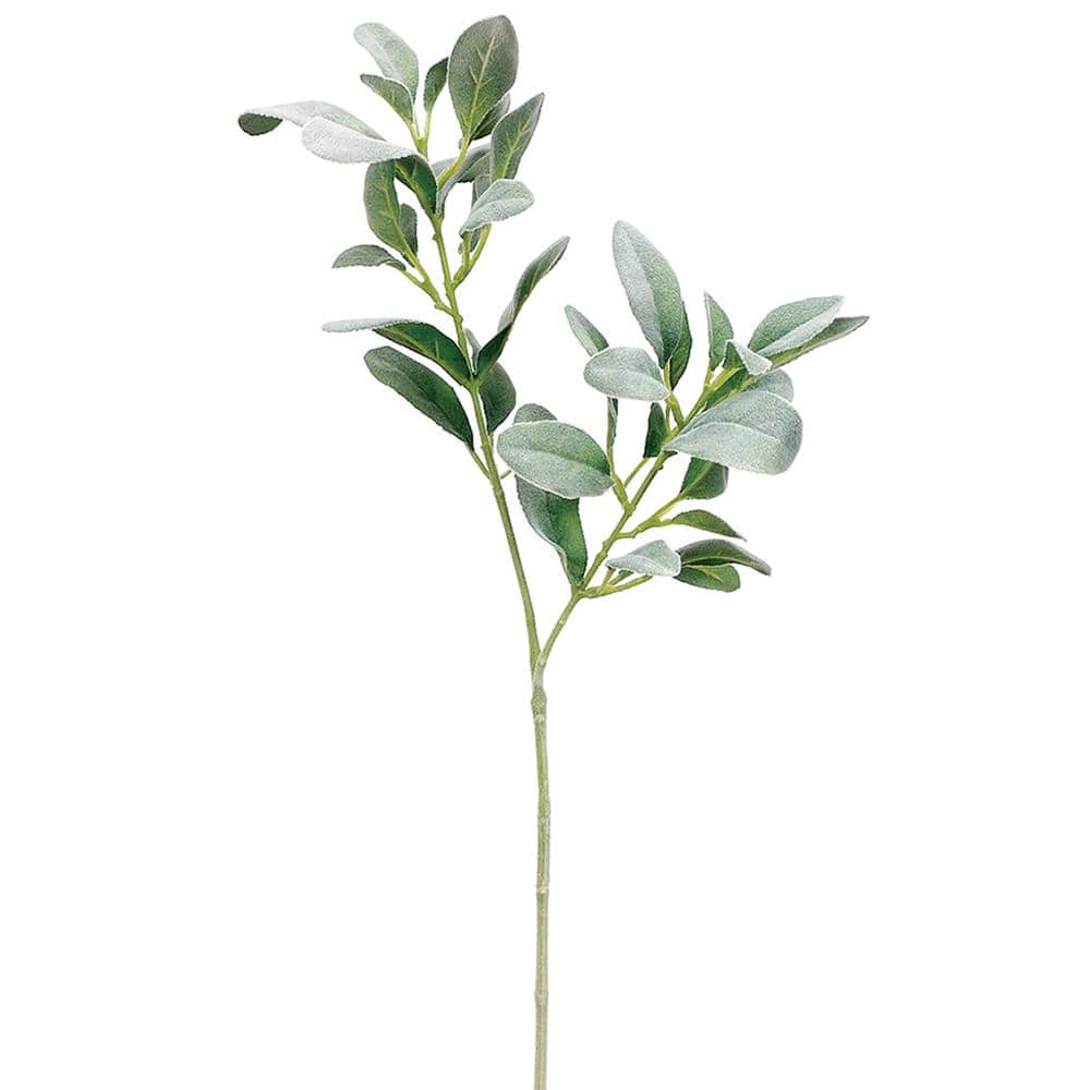 A 28-inch artificial green Lamb's Ear leaf spray, with detailed and realistic leaf patterns, suitable for indoor decoration.