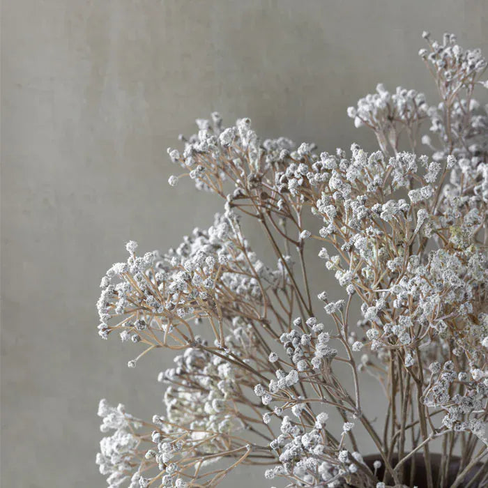 30" Gypsophila Stem (Babies Breath)