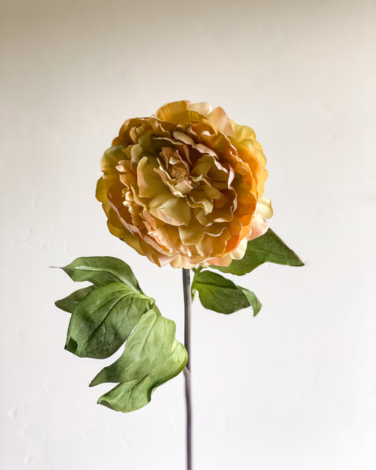 32" Dark Yellow Peony