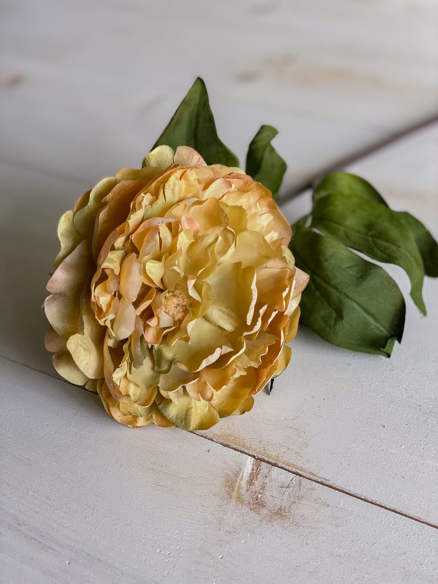32" Dark Yellow Peony