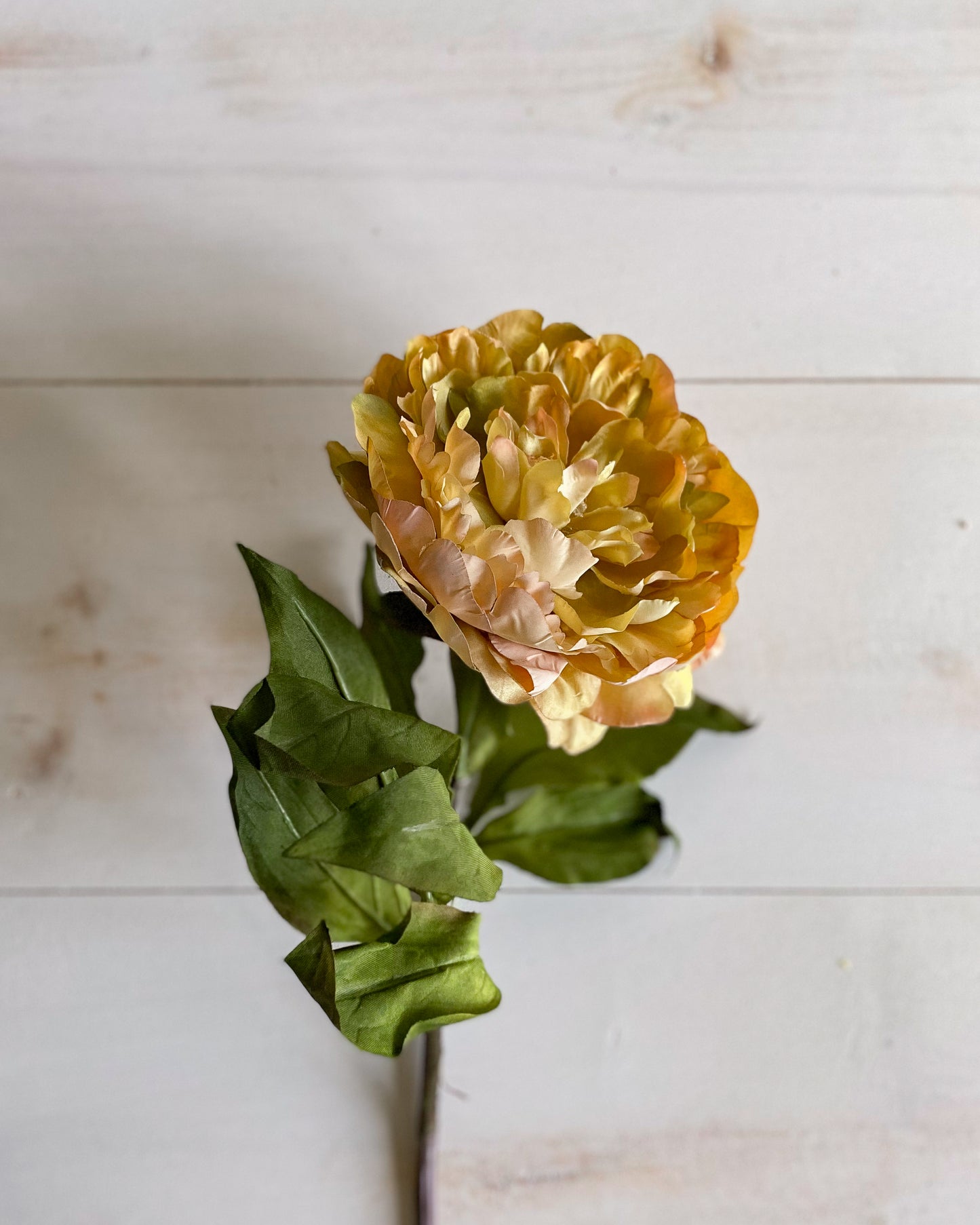 32" Dark Yellow Peony