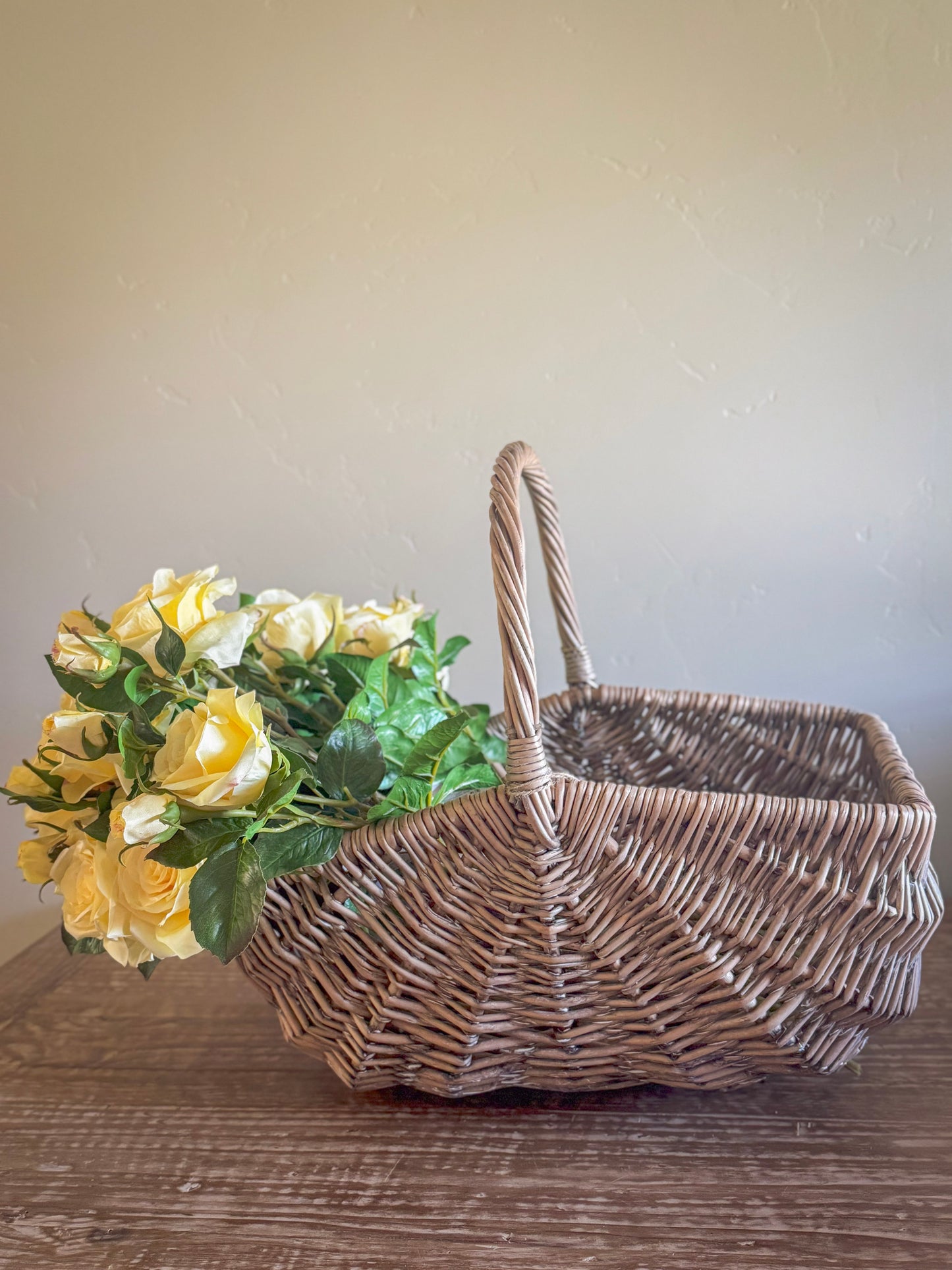 20" Light Yellow Dutch Garden Rose