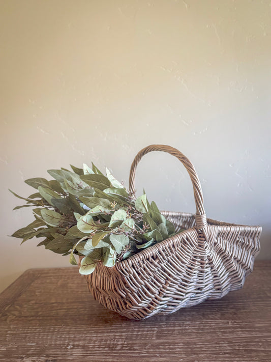 23" Seeded Eucalyptus Spray