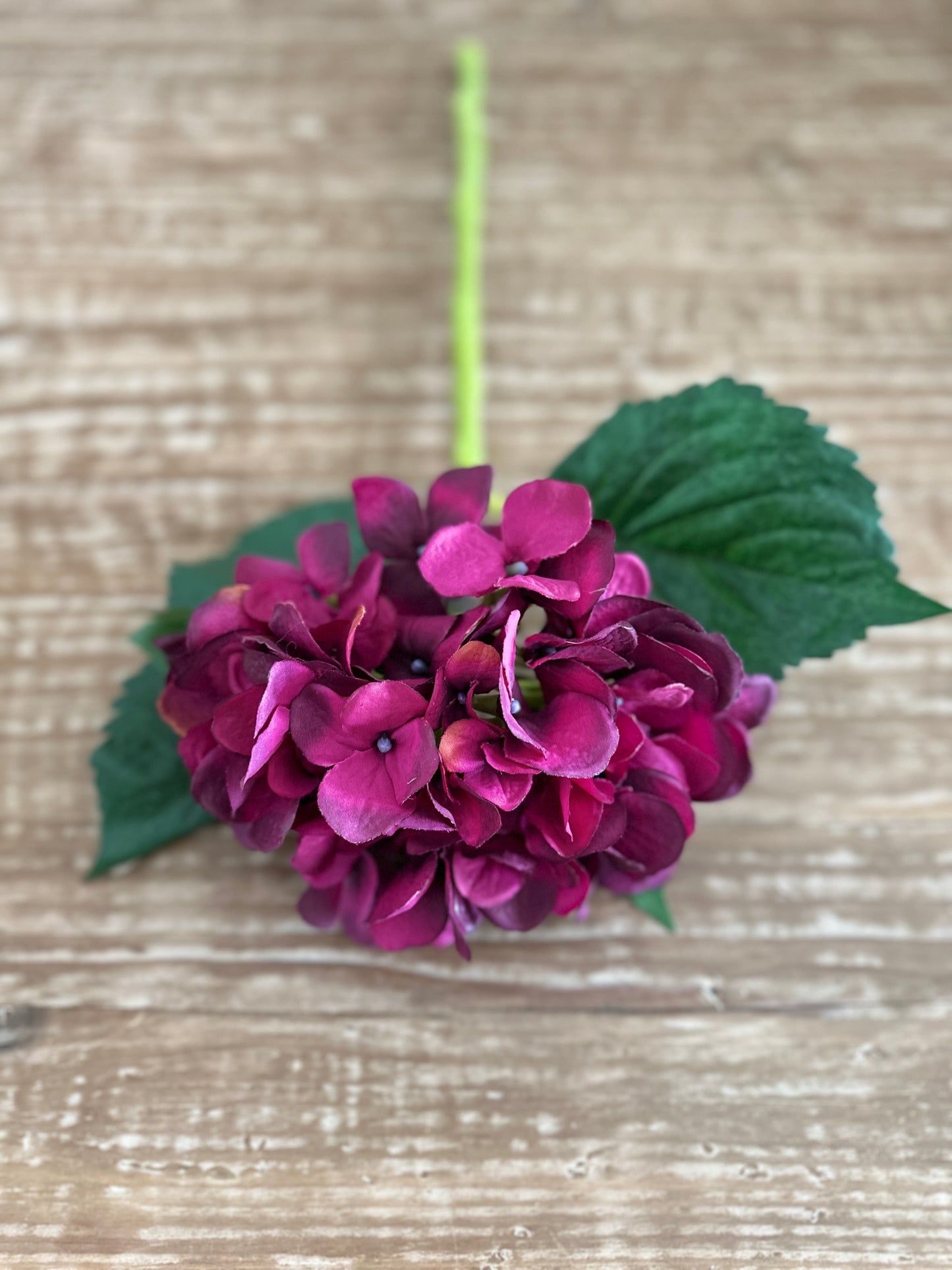 18" Hydrangea Stem in Eggplant
