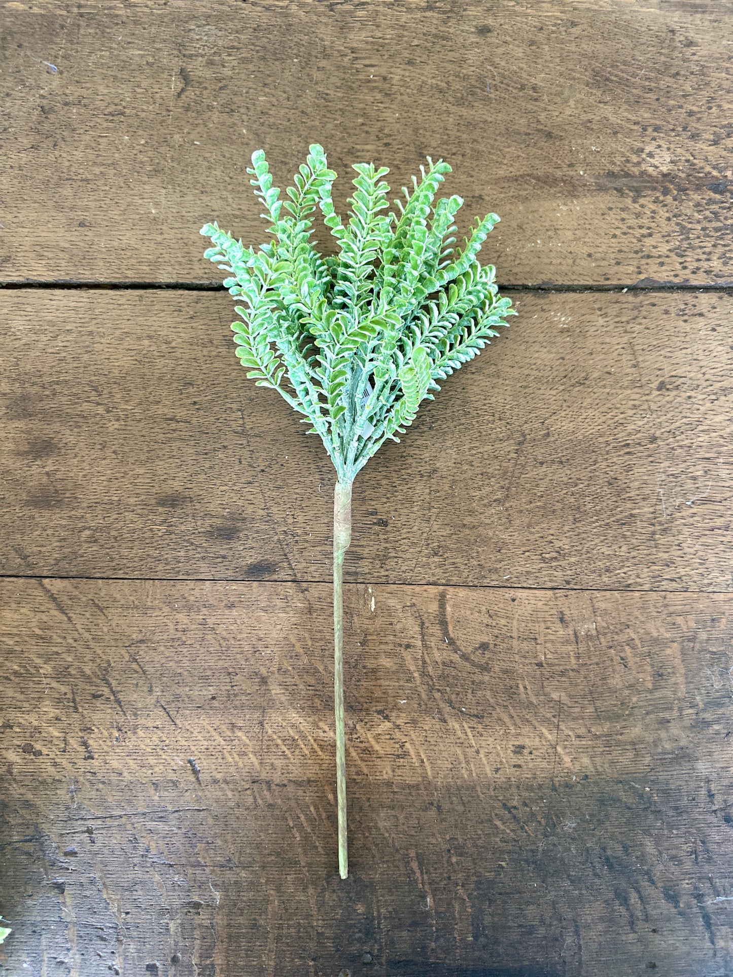 17" Green Clubmosses Spray
