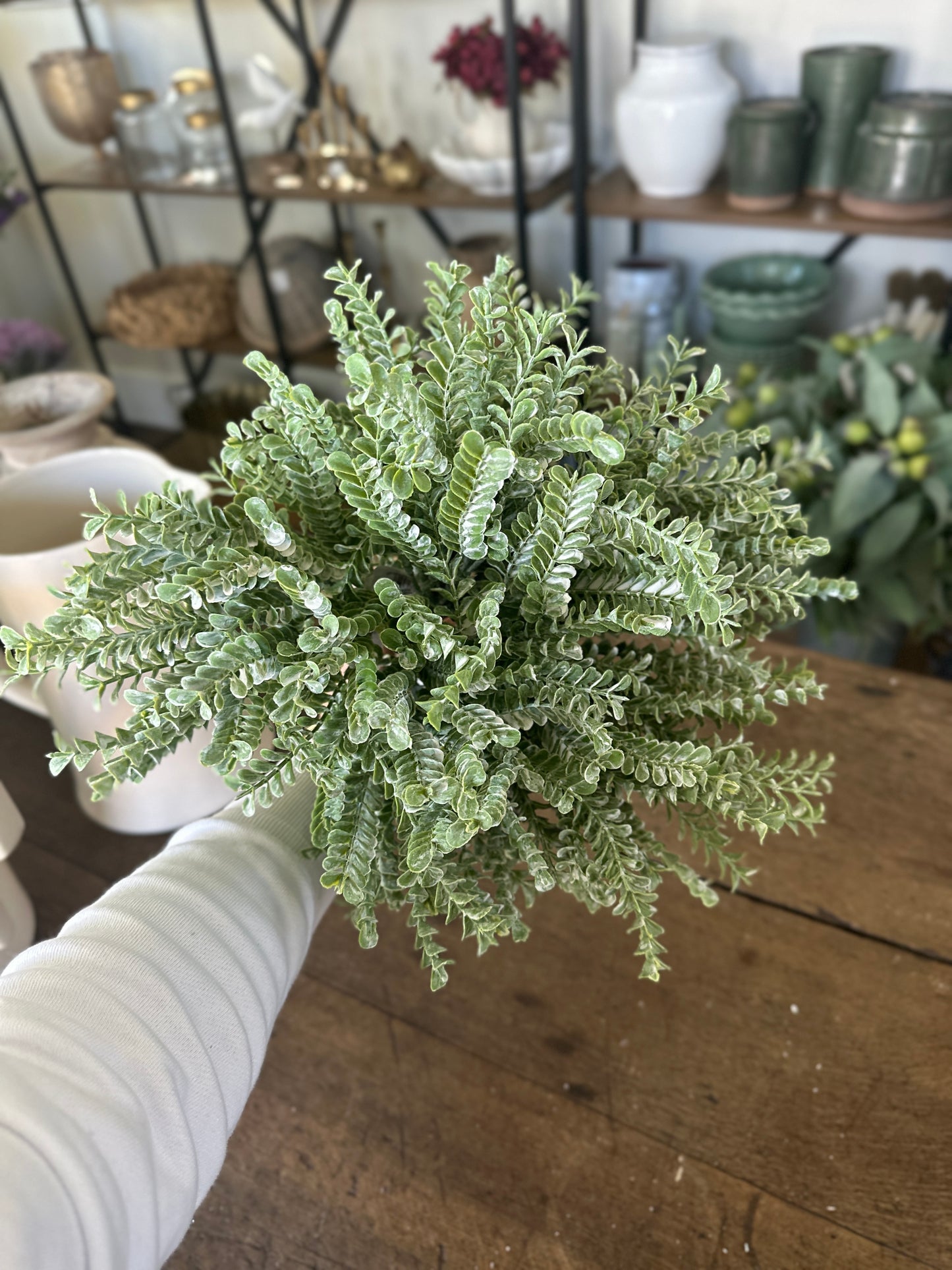 17" Green Clubmosses Spray