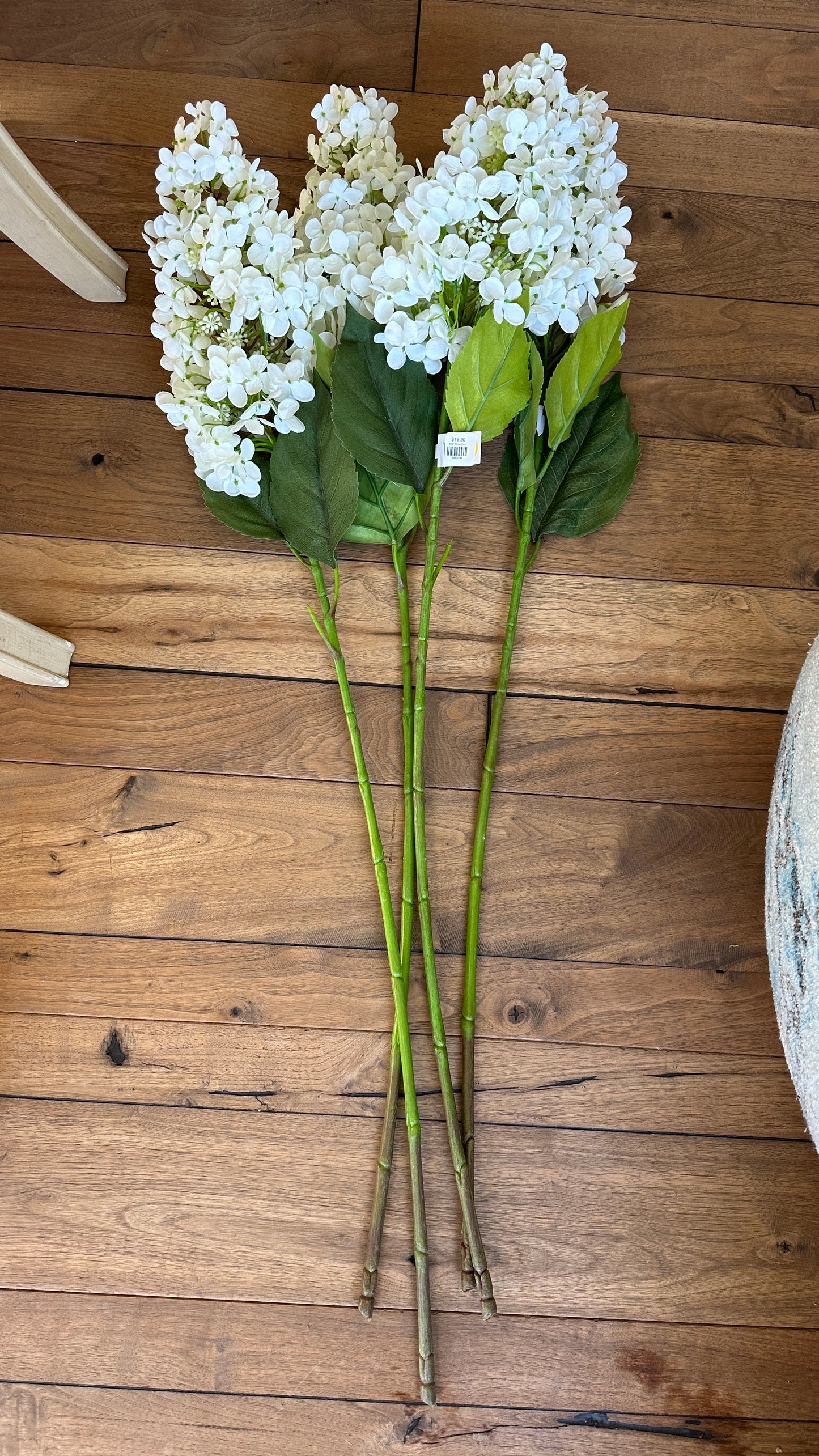 38.5" White Cone Hydrangea Stem