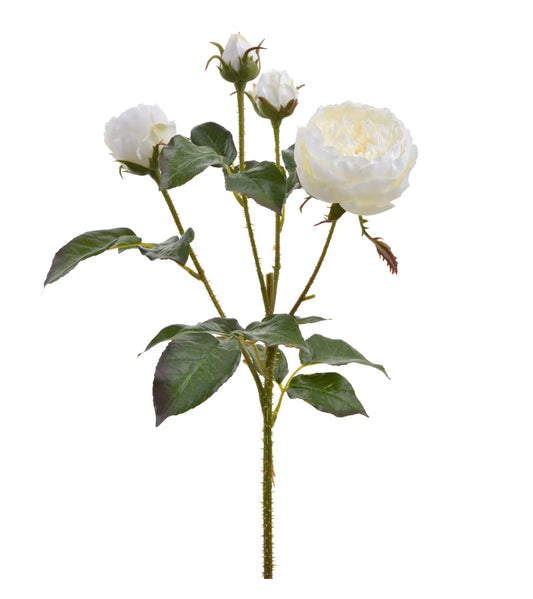 24" White Rose Spray