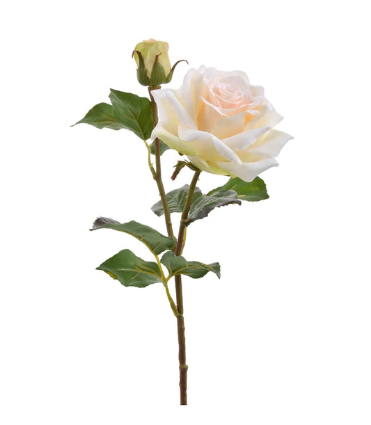 20" Cream Wine Dutch Rose
