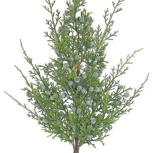 JUNIPER SPRAY, 20"