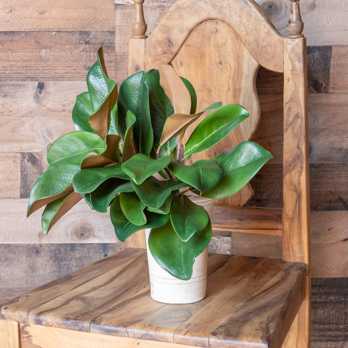 Magnolia_Leaf_Spray