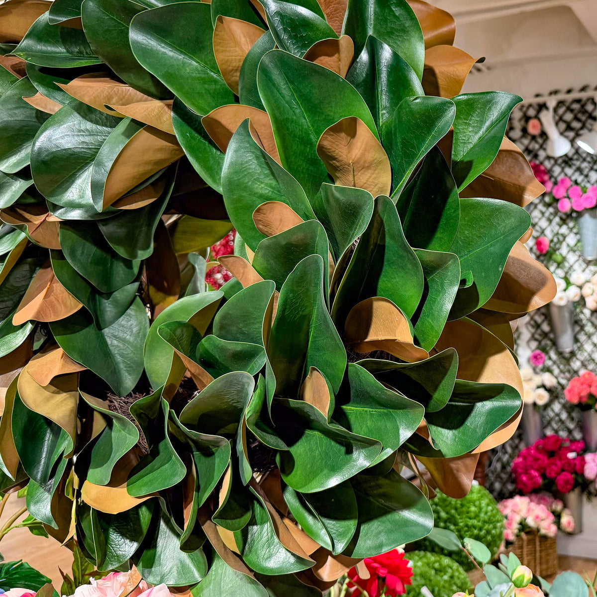 Magnolia_Leaf_Wreath