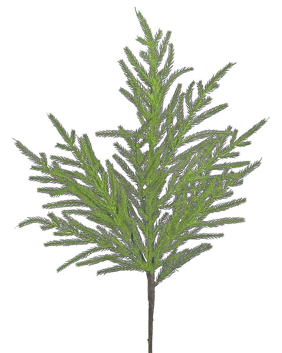 NORFOLK PINE SPRAY, 36" GREEN