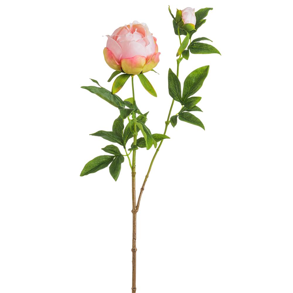 A single stem of a peony spray with a realistic appearance, featuring green leaves and a blush flower, against a white background.