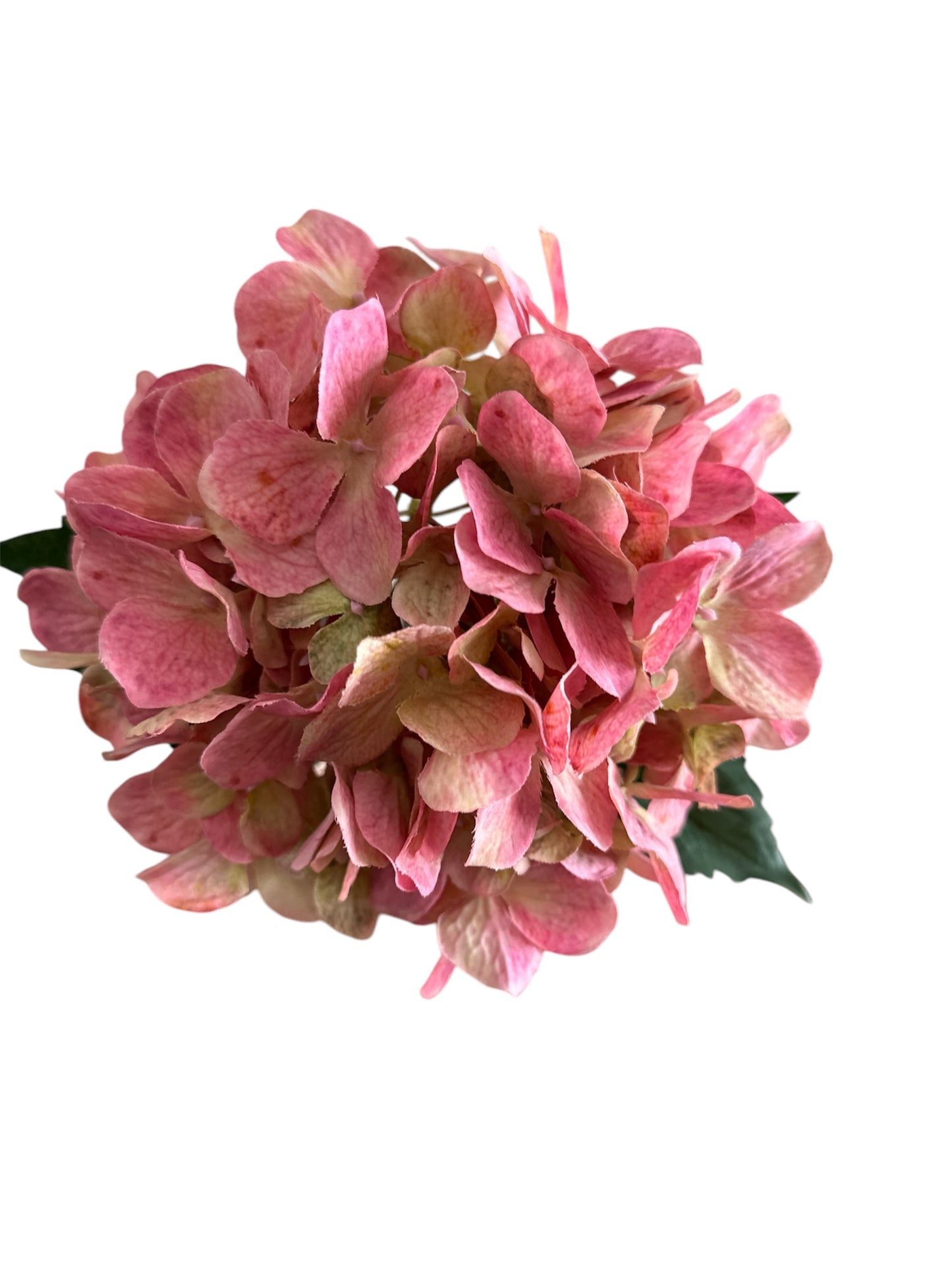 25" Light Pink and Green Artificial Hydrangea Spray