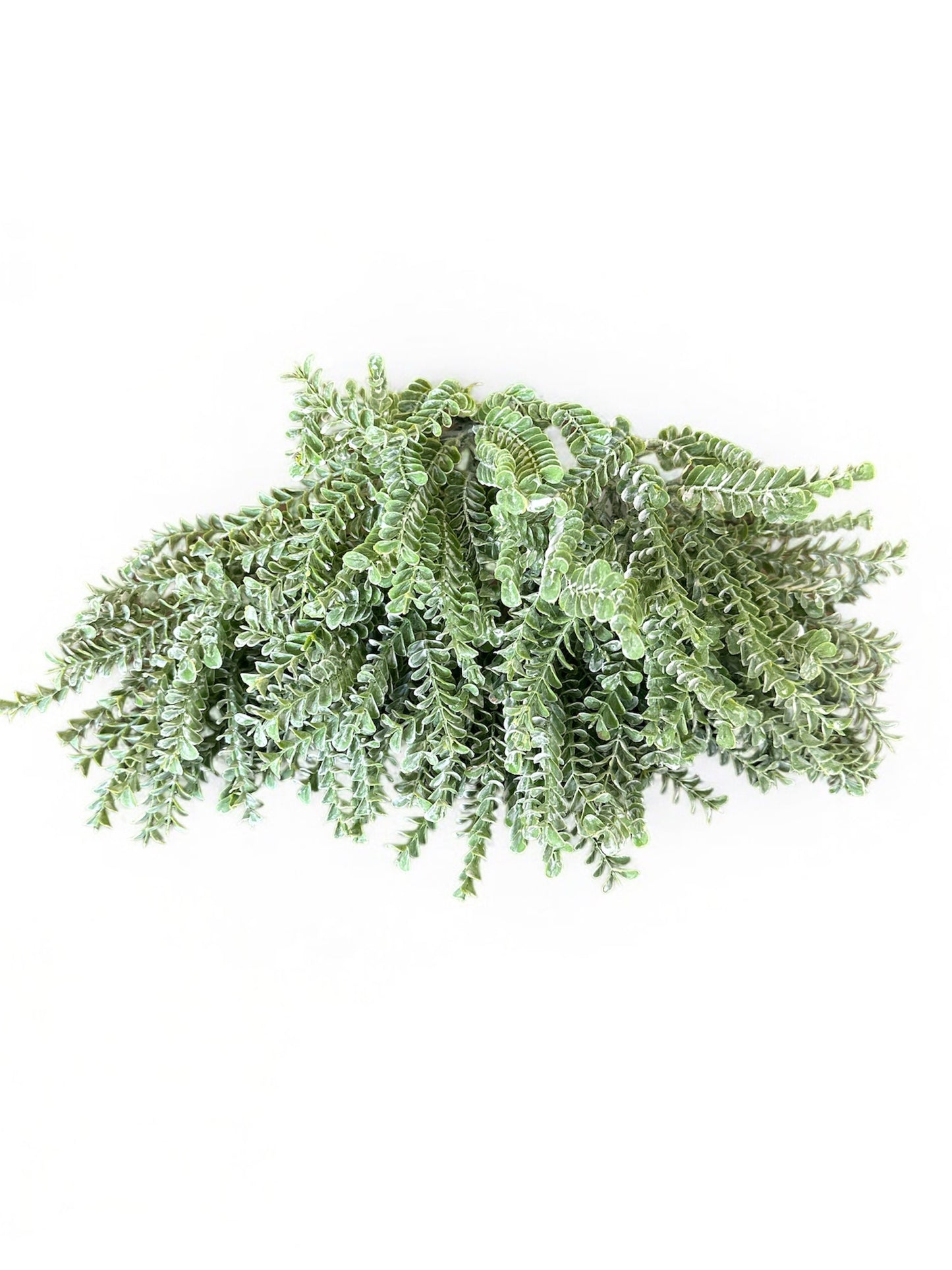 17" Green Clubmosses Spray