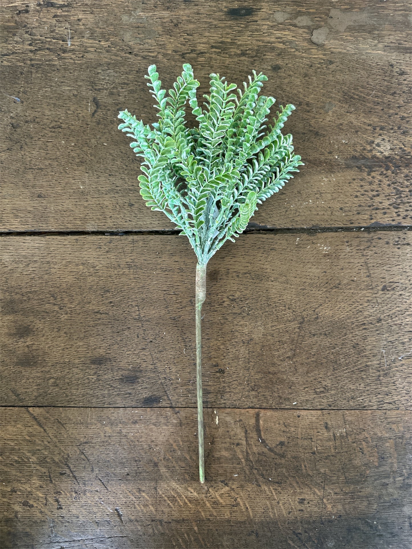 17" Green Clubmosses Spray