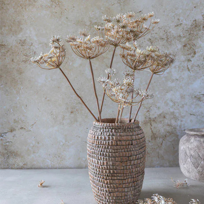 30" Queen Anne's Lace Stem