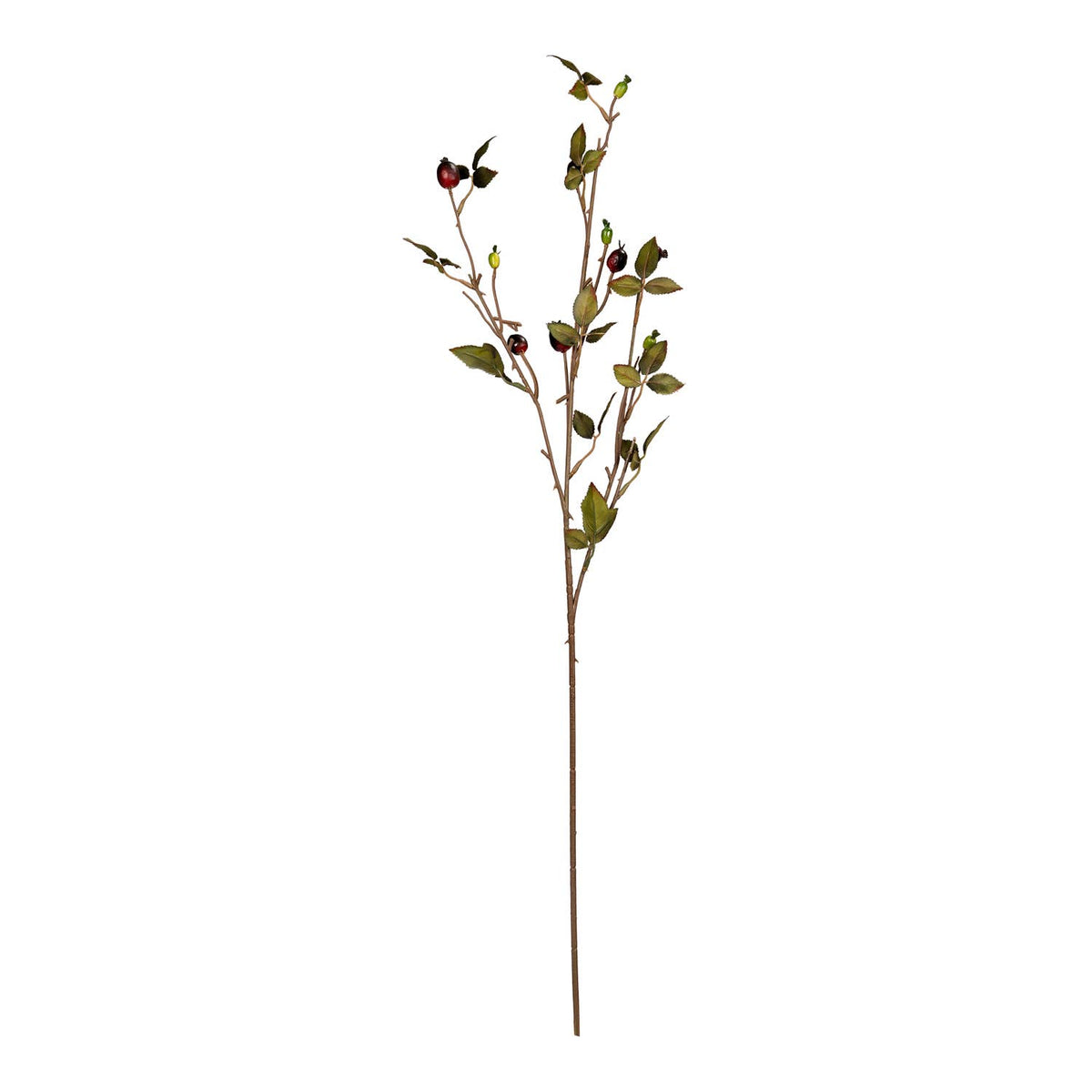 Rosehip_Spray