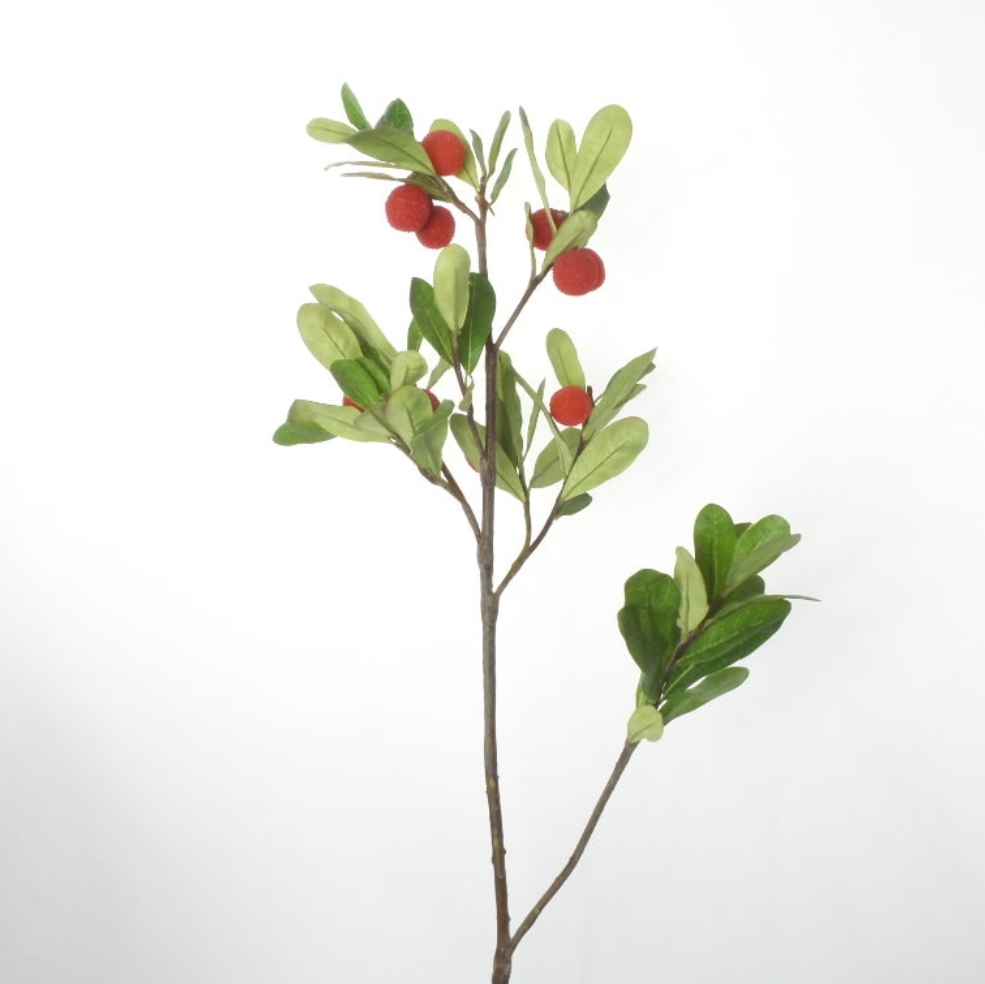 STRAWBERRY STEM 30″