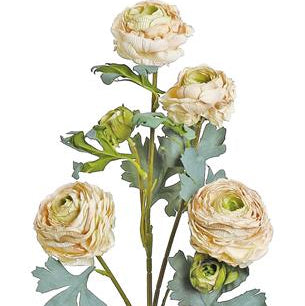 SUMMER DRIED RANUNCULUS SPRAY X6, 30", BLUSH