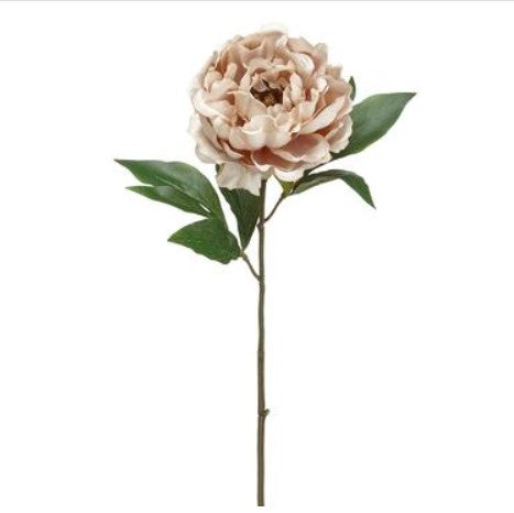 18.5" Decor Peony Spray Beige