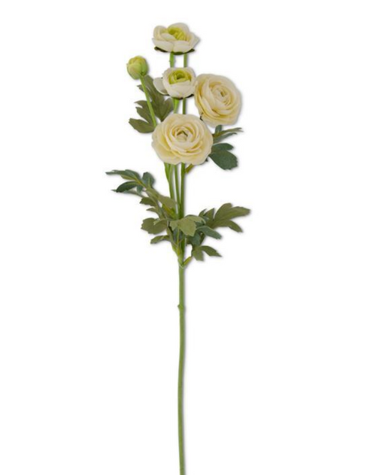 White Ranunculus Spray