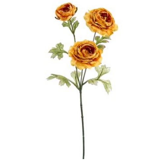 36" Gold Ranunculus Spray