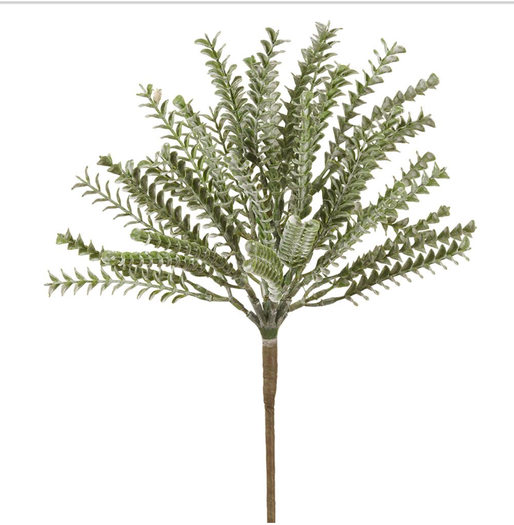 17" Green Clubmosses Spray