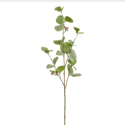 30" Eucalyptus Leaf Spray - Green Gray