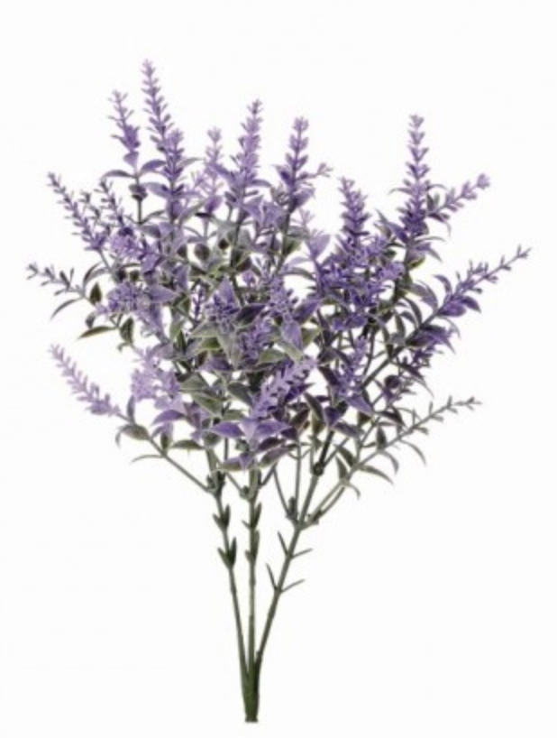 14" LAVENDER GARDEN BUSH