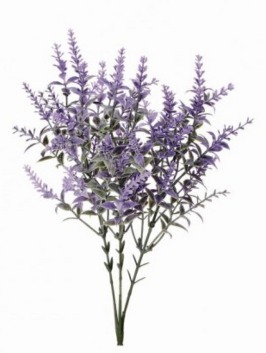 14" LAVENDER GARDEN BUSH