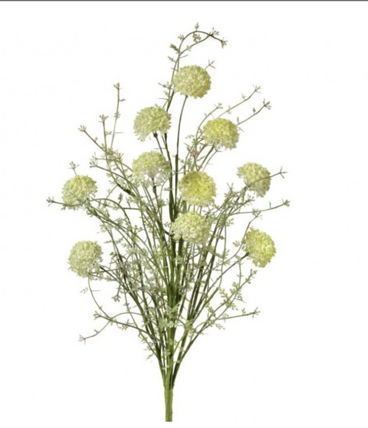 24" Allium Bush with 10 Stems in Cream