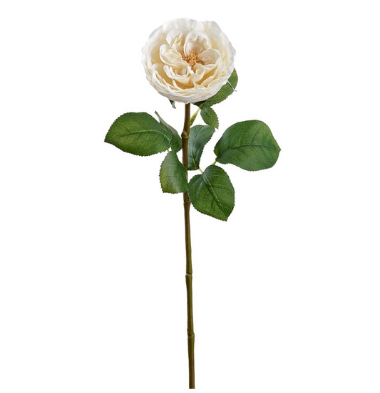 26" Cream Cabbage Rose Spray