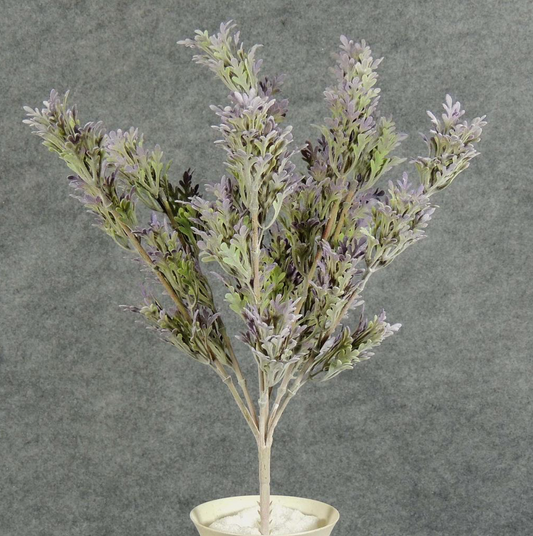 17" Dusty Miller Bush Lavender Stem