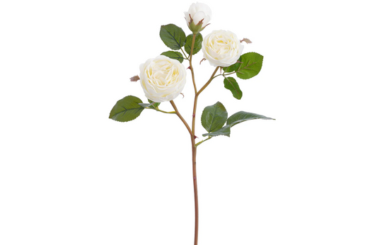 21" White Rose Spray