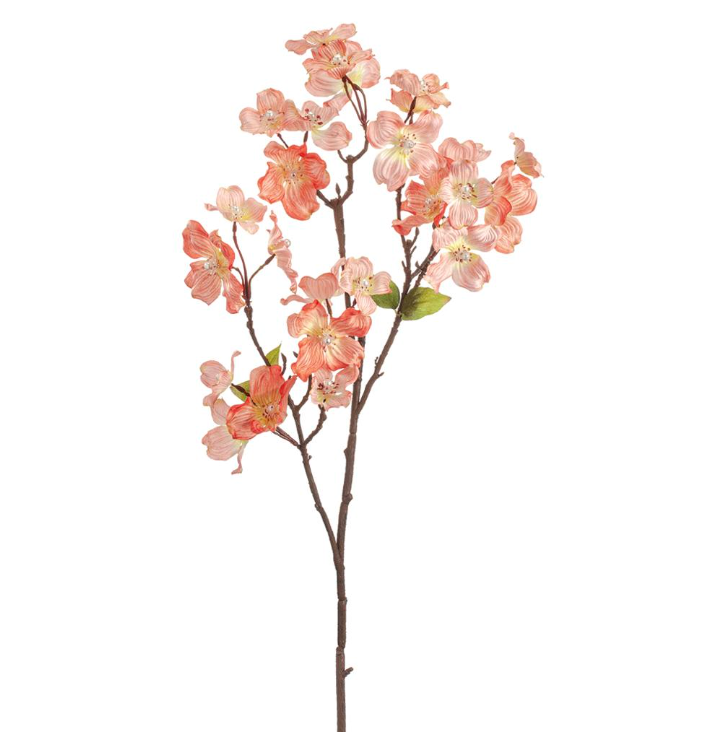 36" Dogwood Stem with Pearl