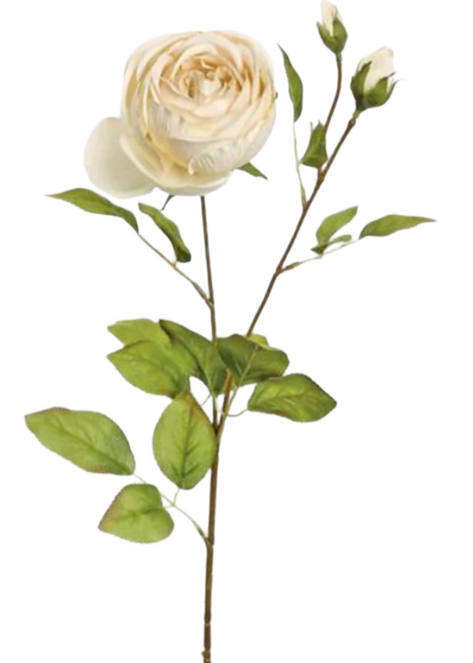 Harvest Rose With Buds, 27", Linen