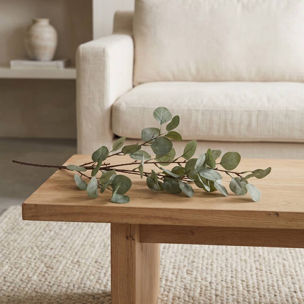 Silver_Dollar_Eucalyptus_Branch