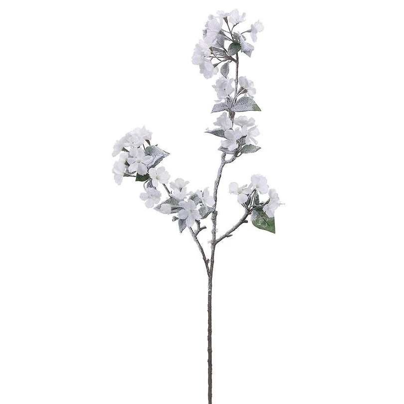 Snow_Quince_Blossom_White