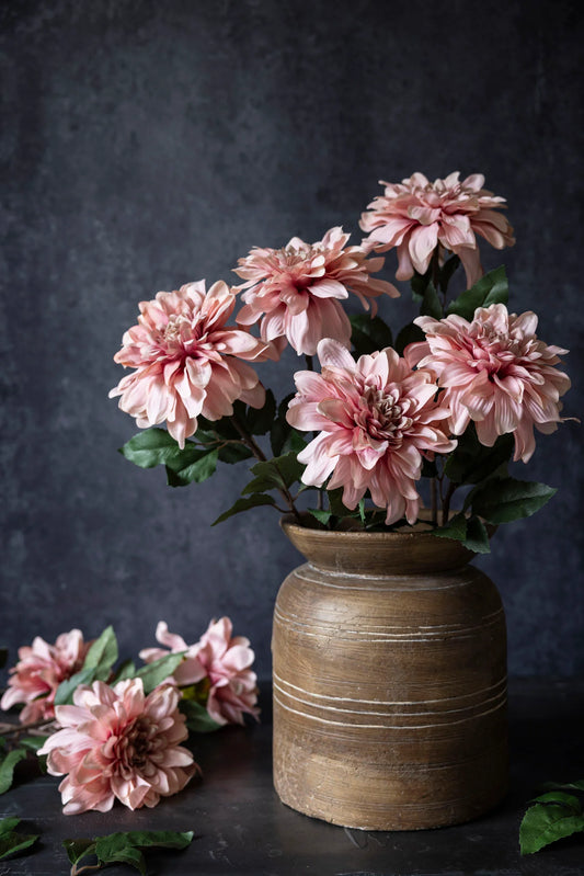 Artificial Dahlia, Flamingo