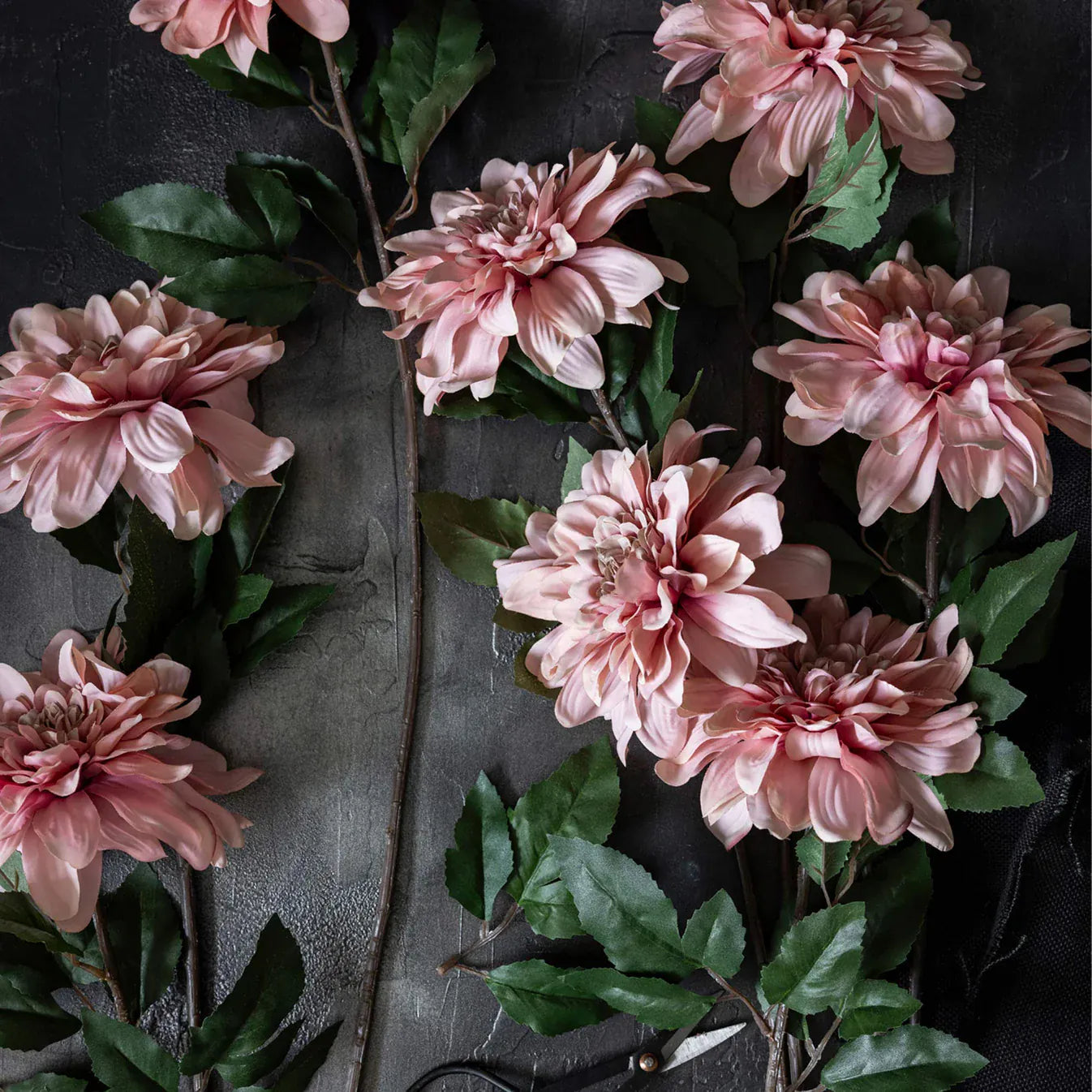 Artificial Dahlia, Flamingo