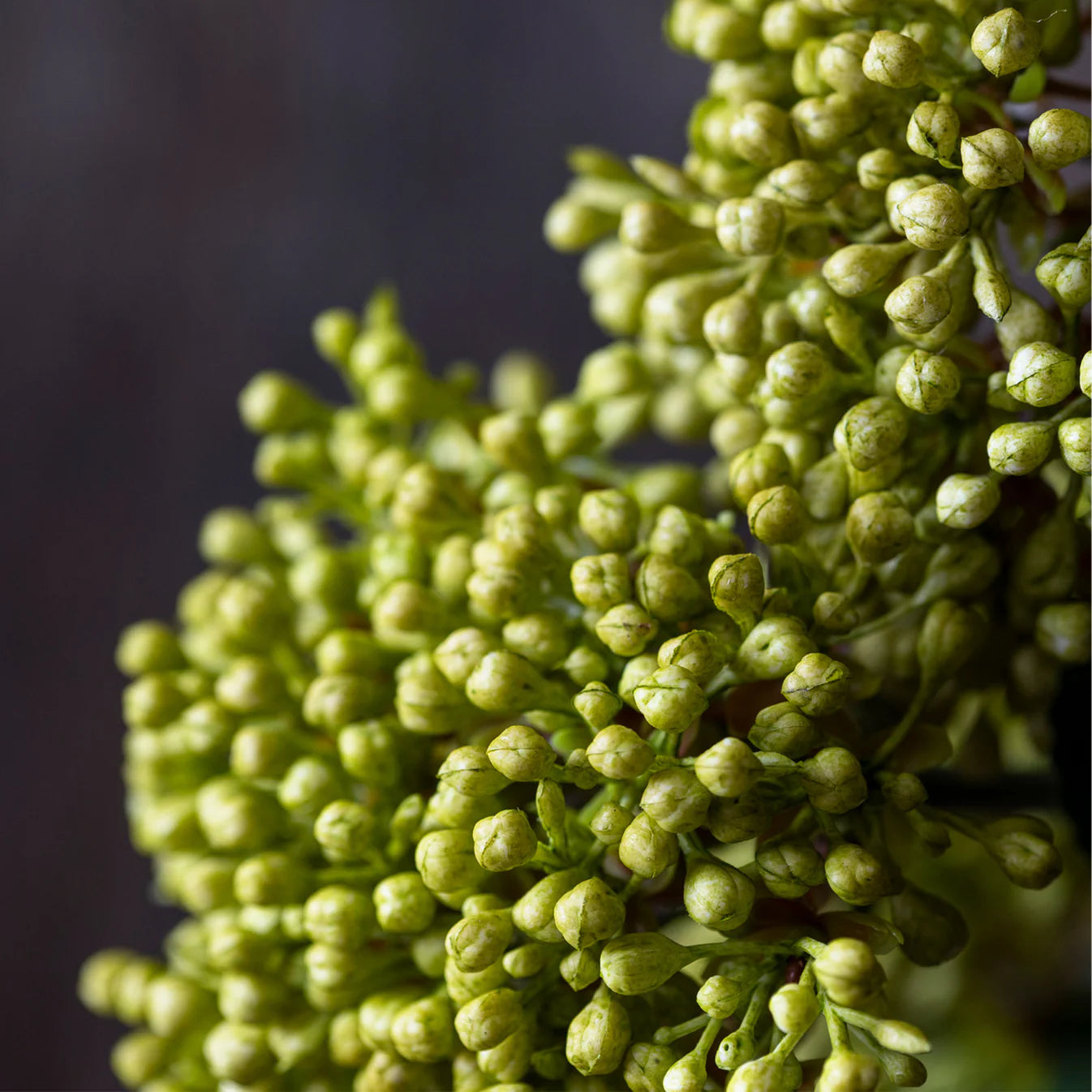 Artificial Viburnum, Olive