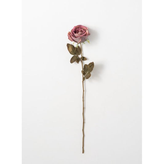 26" Calista Rose Stem