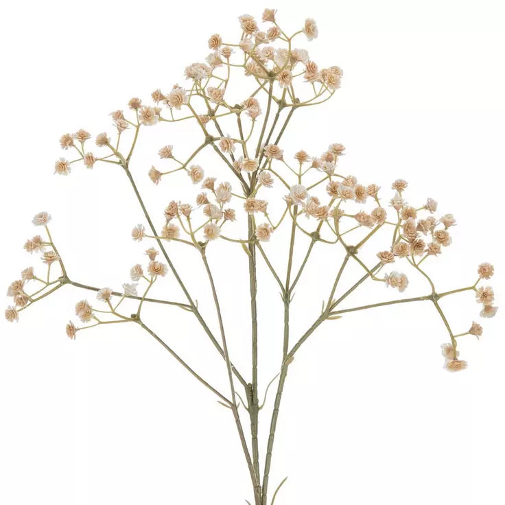 beige-baby's-breath-spray