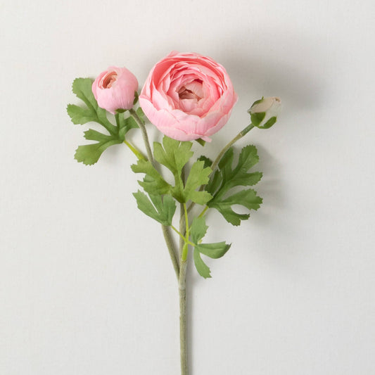 20" Soft Pink Ranunculus