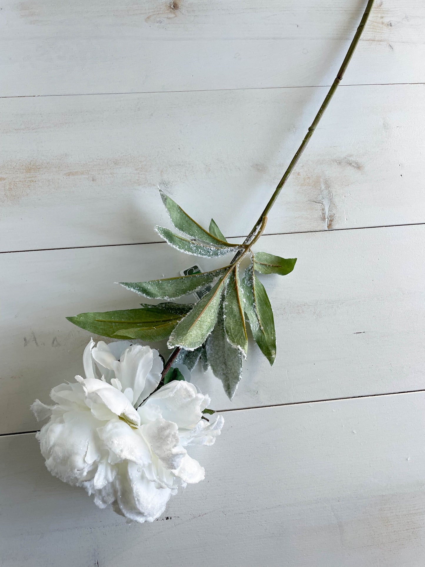 28" Snowed Peony Spray Snow White