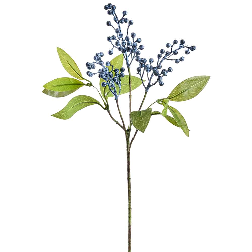 berry-stem