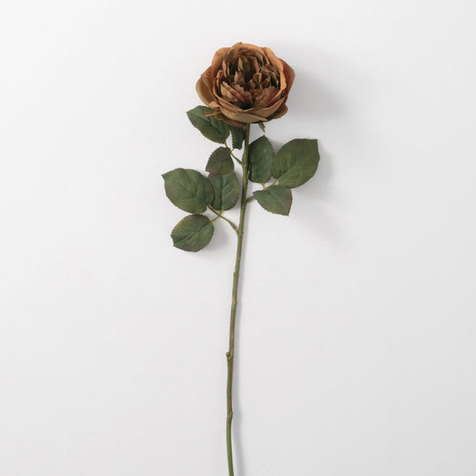 25" Rust Garden Rose Stem