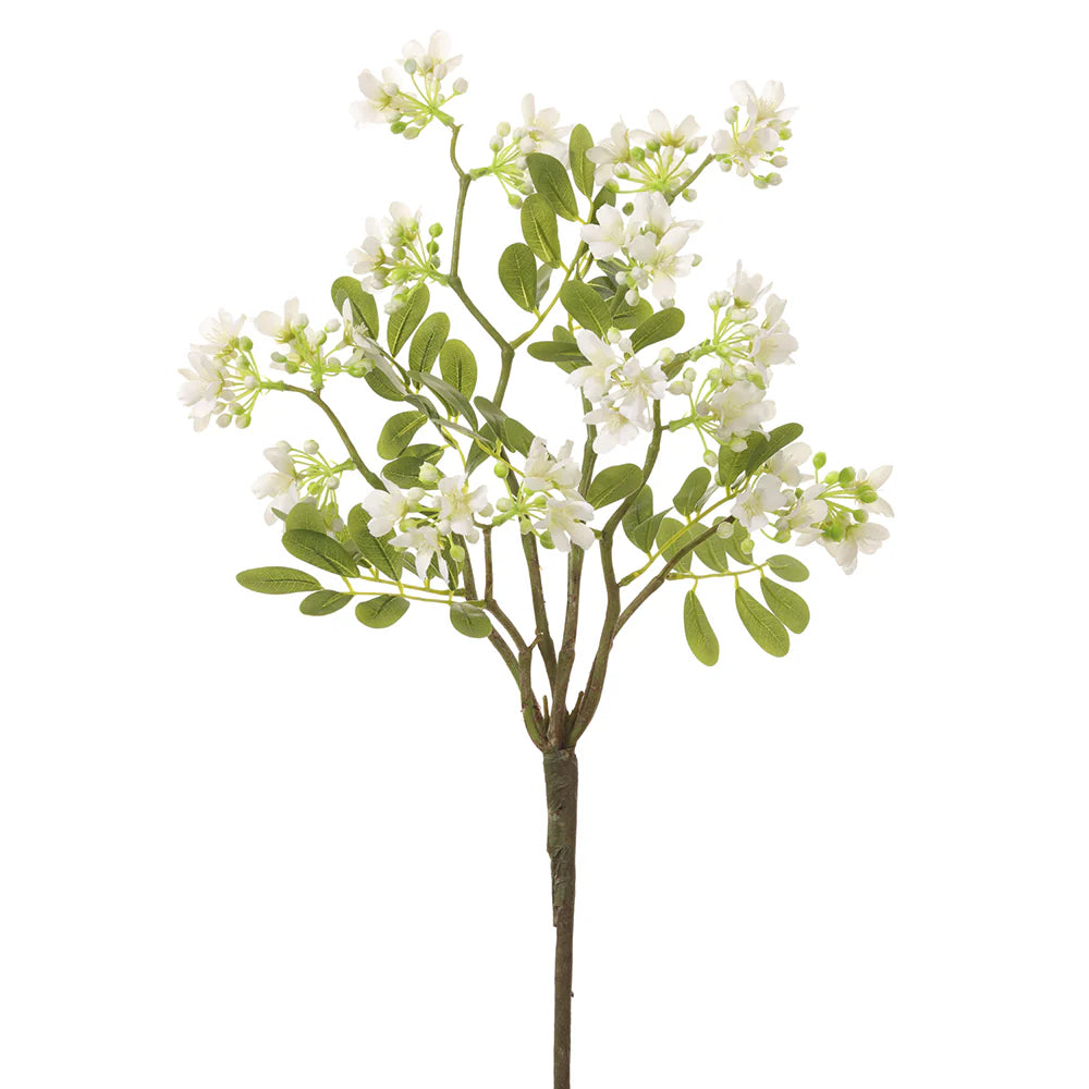 white-stephanotis-spray
